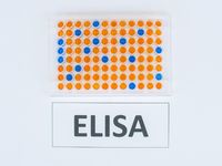 Test ELISA - co wykrywa i na czym polega to badanie?
