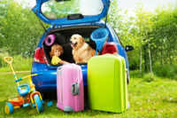Jak przygotować się do wakacyjnego wyjazdu z dziećmi i zwierzętami?
