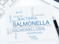 Zatrucie salmonellą - jakie są objawy? Leczenie 