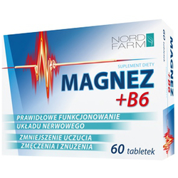 Zdjęcie produktu Magnez + B6