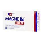 zdjęcie produktu Magne B6